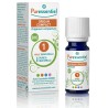 Huile Essentielle Origan compact Bio Puressentiel 5ml